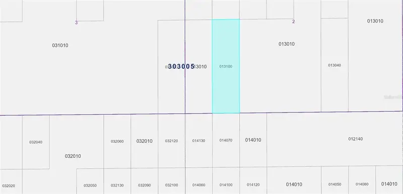 Vacant Land 30-30-05-000000-013100, FL