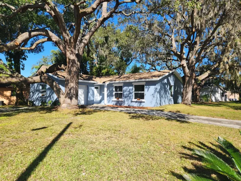 800 Diane Cir, FL