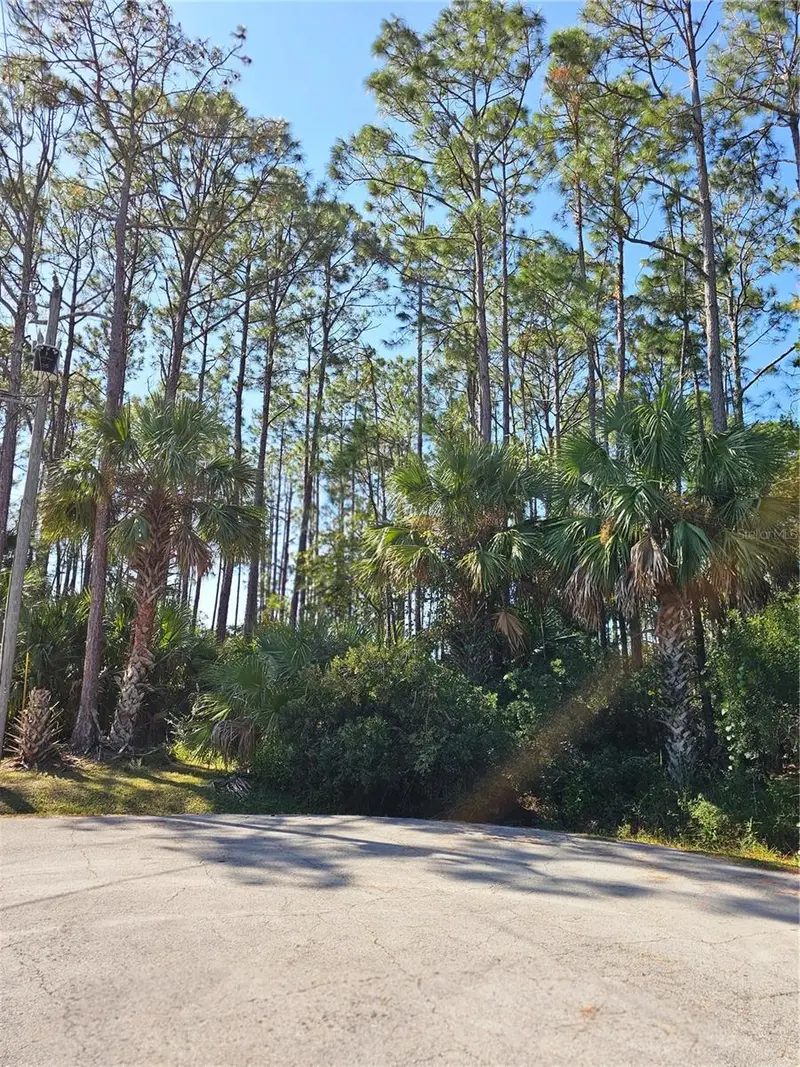 12 Ramsgate Pl, FL