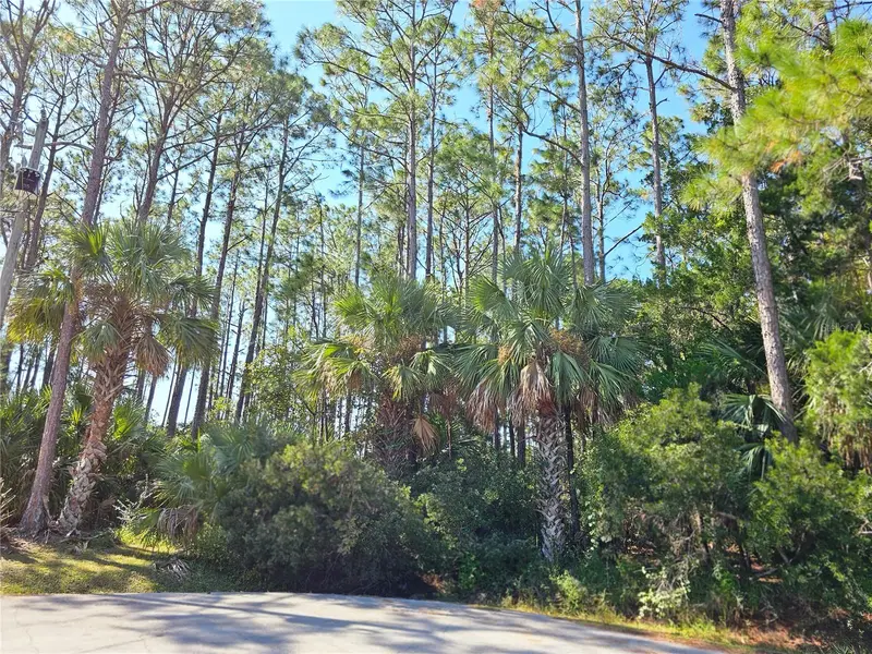 12 Ramsgate Pl, FL