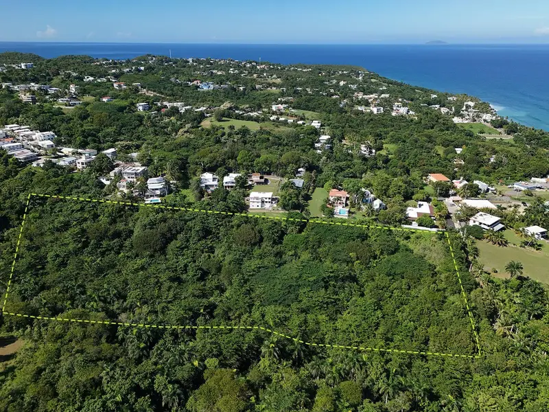 Calle Las Palmas, PR