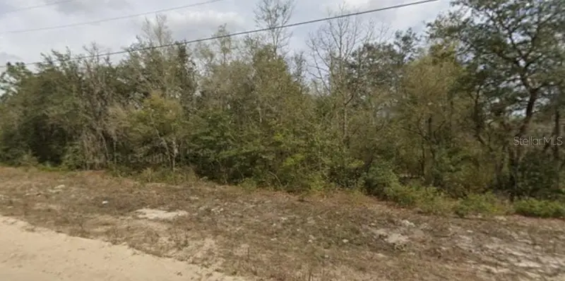 Janet Ave, FL