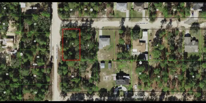 2909 Eastwood St, FL