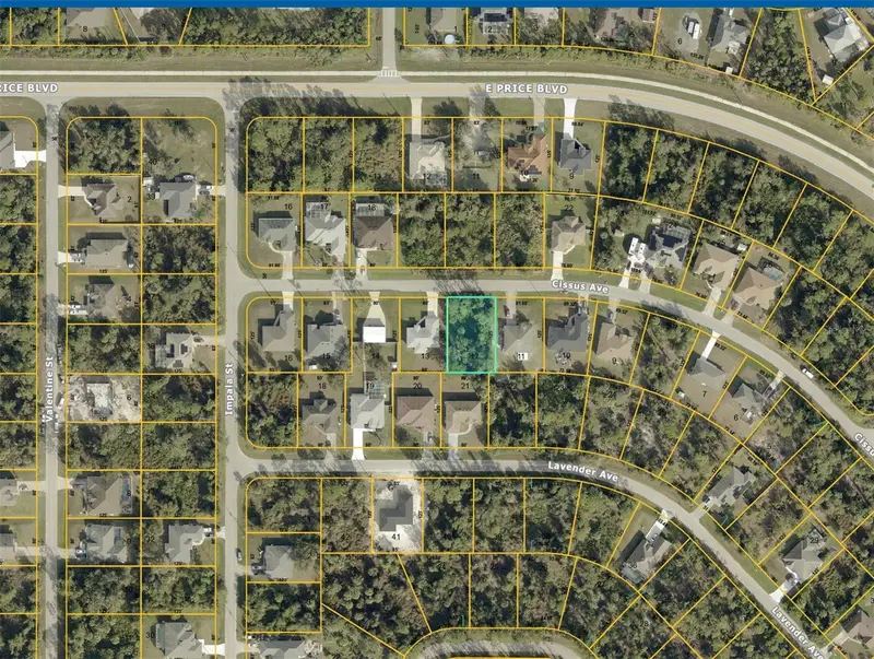 Cissus Ave, FL