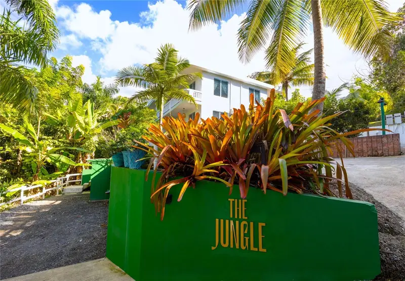 Carr. 413 Int. Km 4 The Jungle, PR