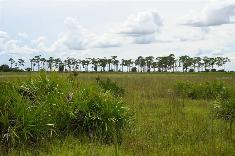 County Line Rd E, FL