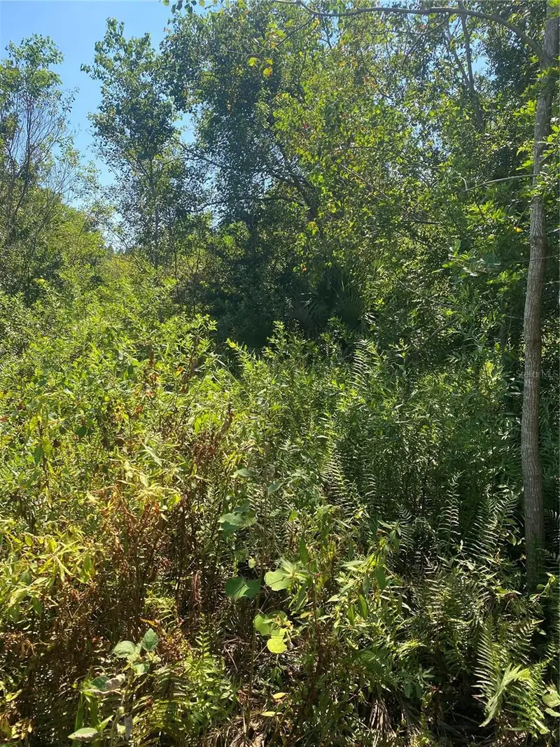 0000 23rd Ave Rd, FL