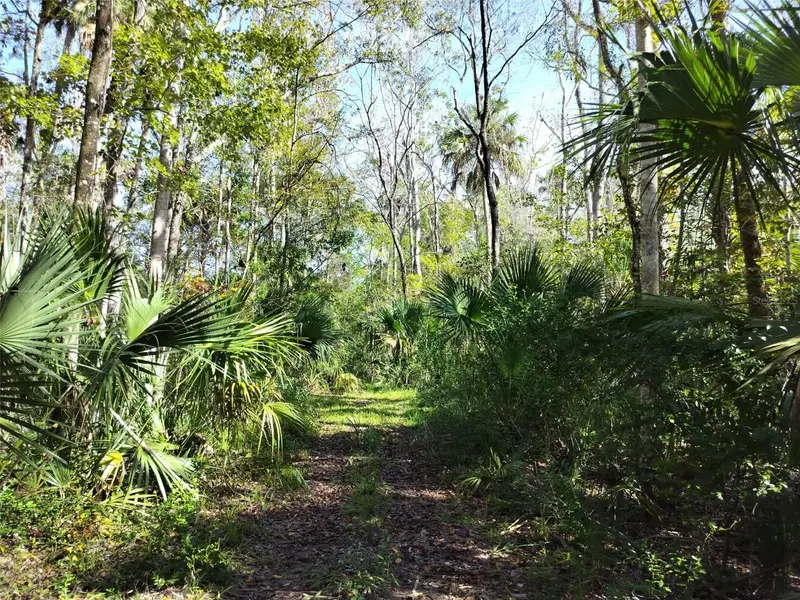 10008 W Pennsylvania St, FL