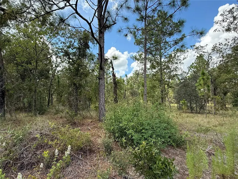 Deer Park Heights Sw, FL