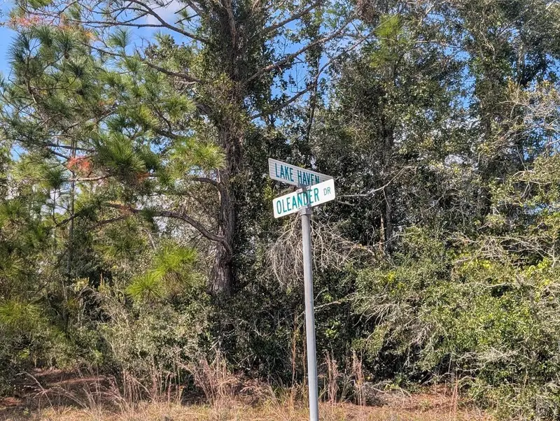 Oleander Dr, FL