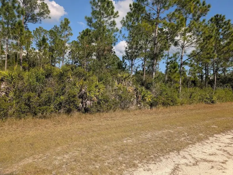 Oleander Dr, FL