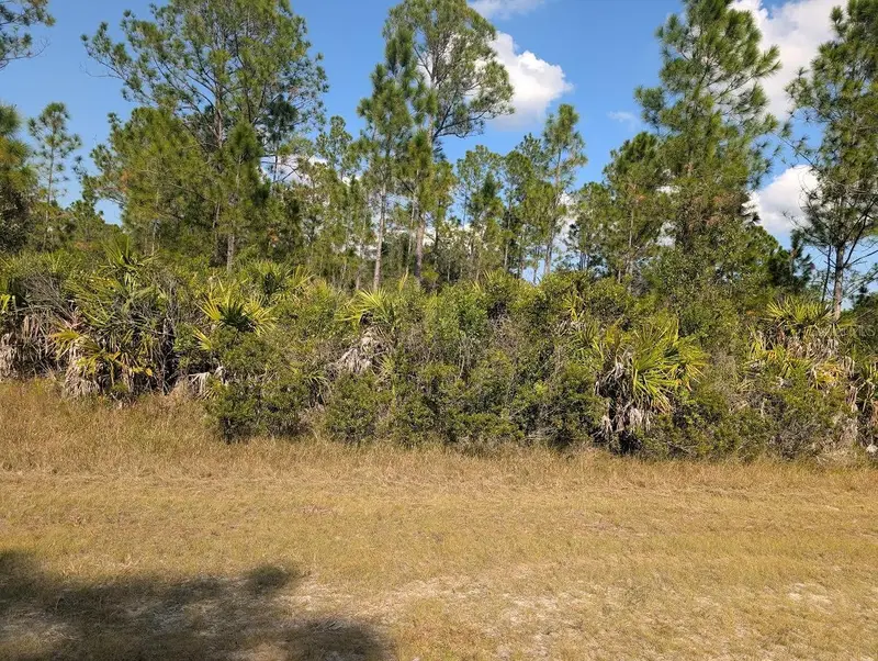 Oleander Dr, FL