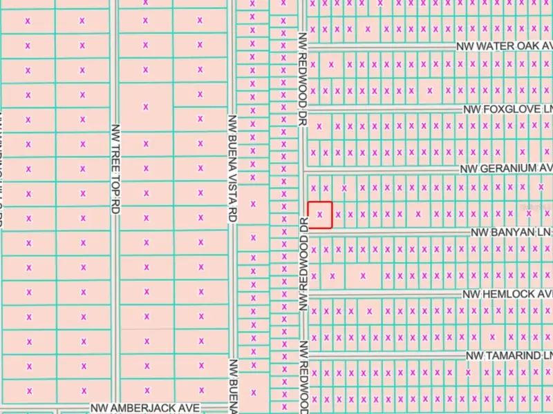 Lots 65 & 66 Nw Banyan Ln, FL