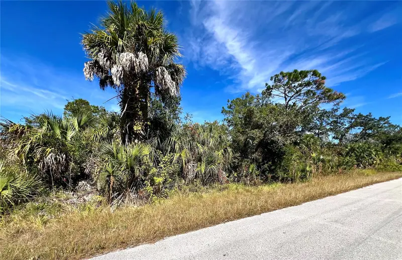 Lot 8 Detroit Ave, FL