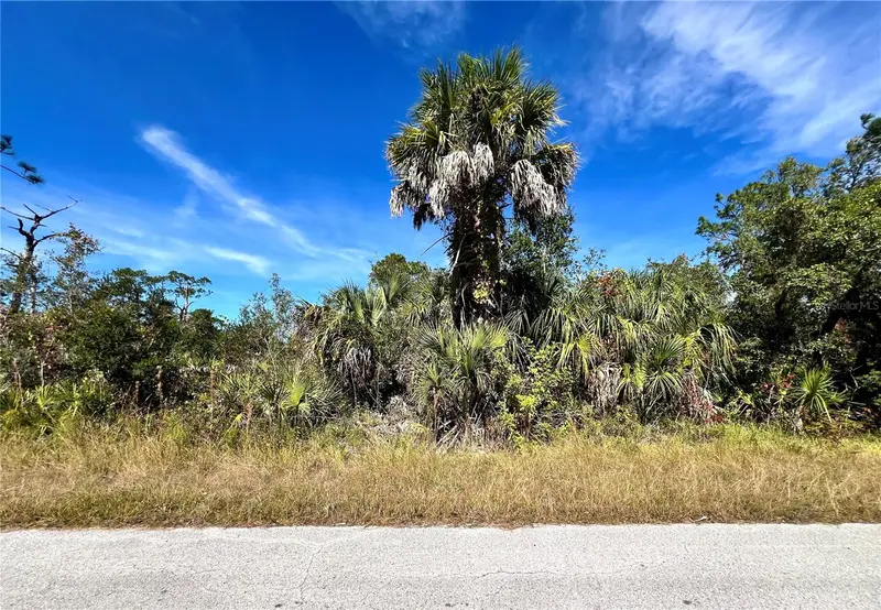 Lot 8 Detroit Ave, FL