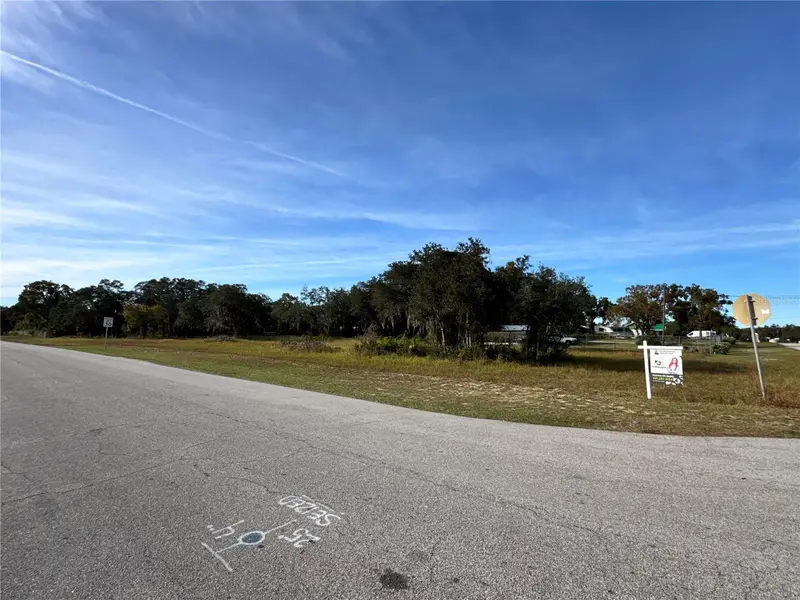 Fast Trot Trl, FL