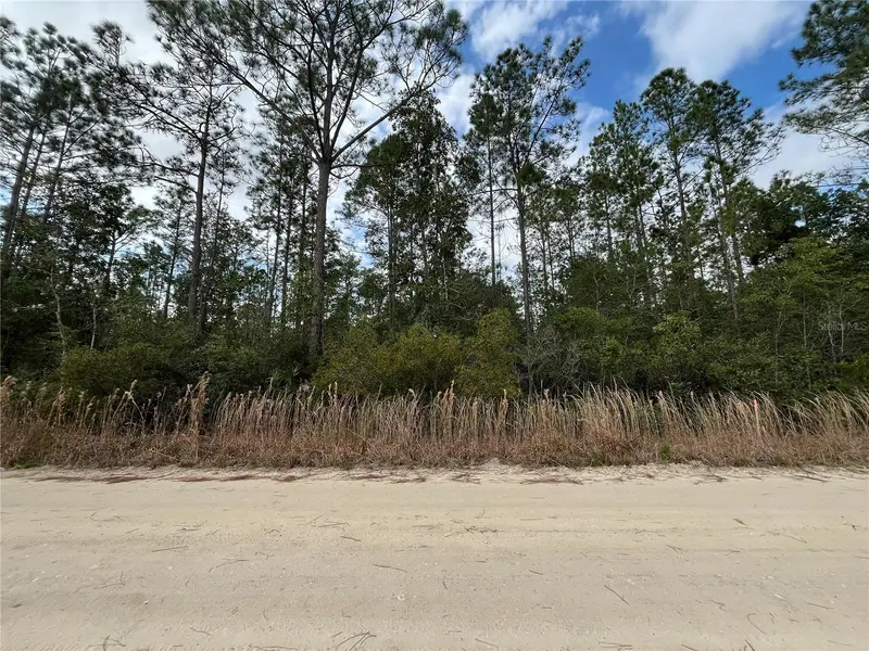 215 Royal Ave, FL