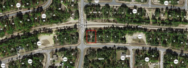 11241 N G Martinelli Blvd, FL