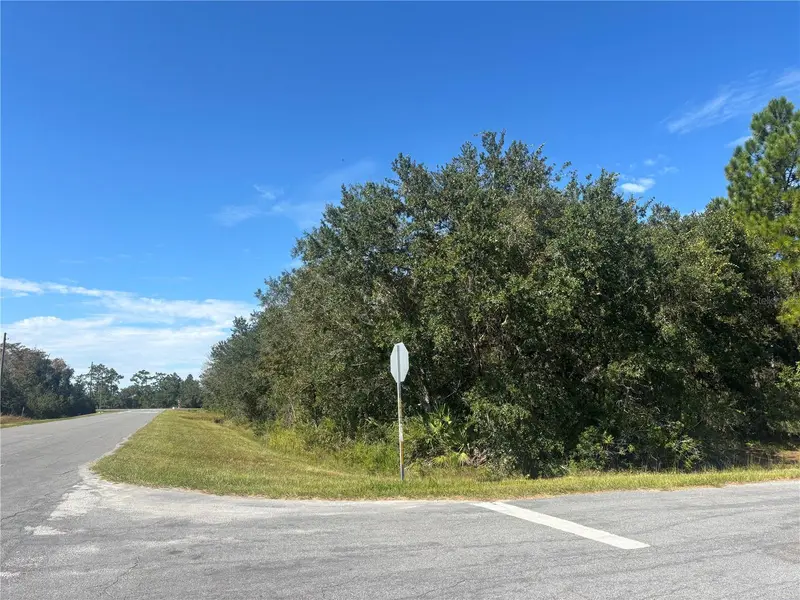 Coronet Ave, FL