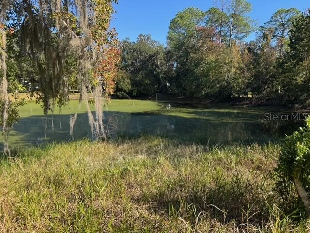 Lots Sw 229th Ct, FL