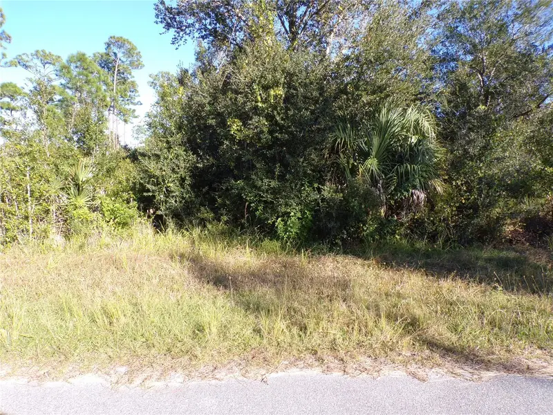 442 Lackland St, FL