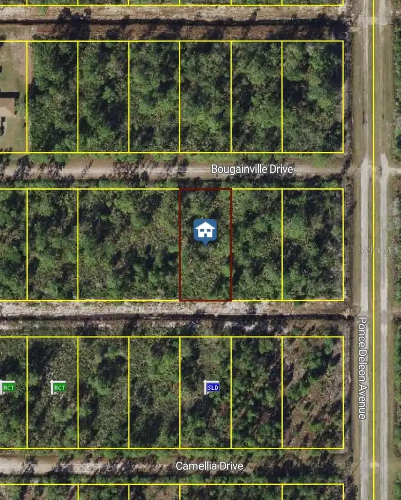 405 Bougainville Dr, FL