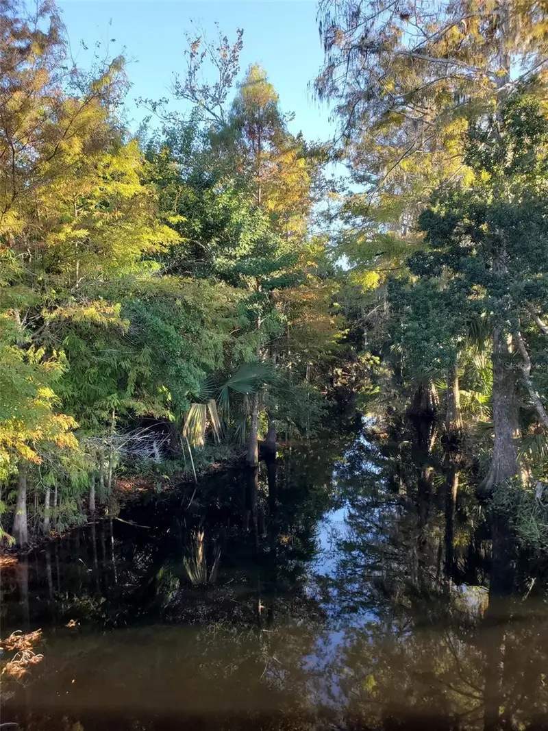 2 Blue Oak Ln, FL