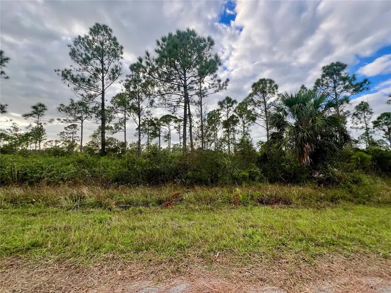 467 Hanscom St, FL