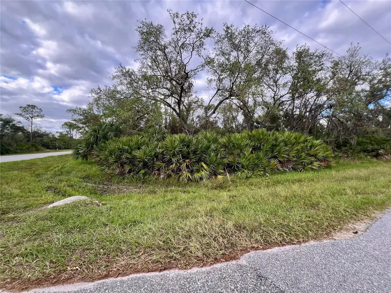 1131 Bowman Ter, FL