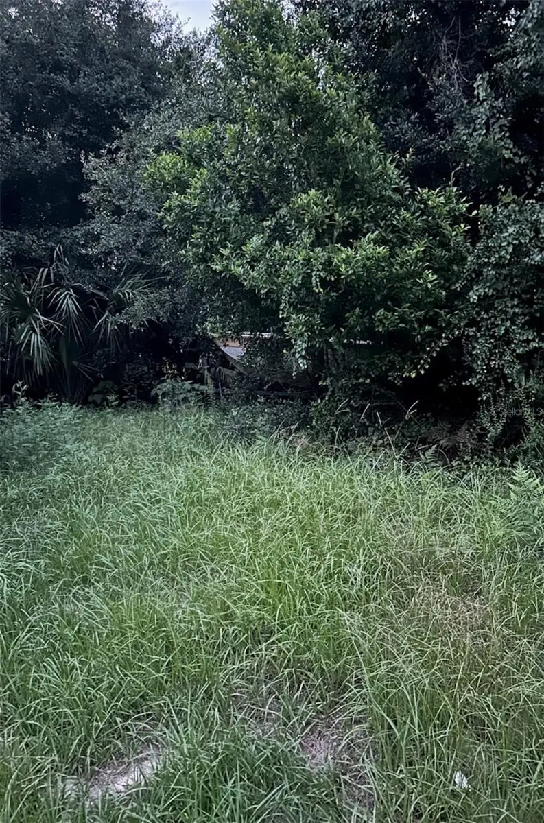 Se 135 Ln, FL