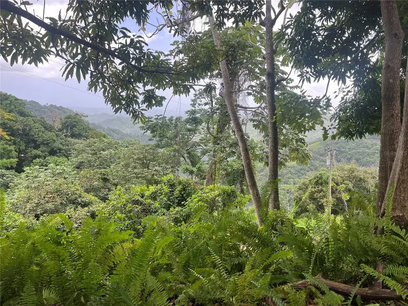 Km 19.9 Carr 128, PR