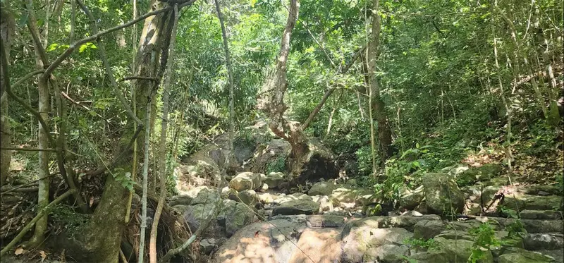 Carr. 412, Km. 4.8 Calle Pascual Nieves, Bo. Calvache, PR