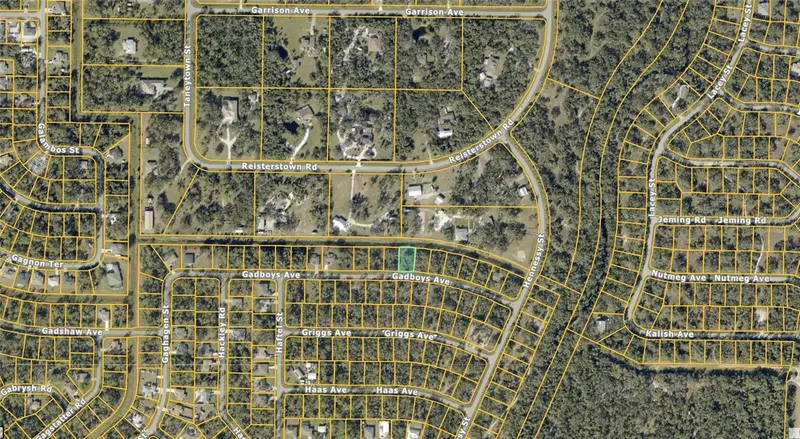 0 Gadboys Ave, FL