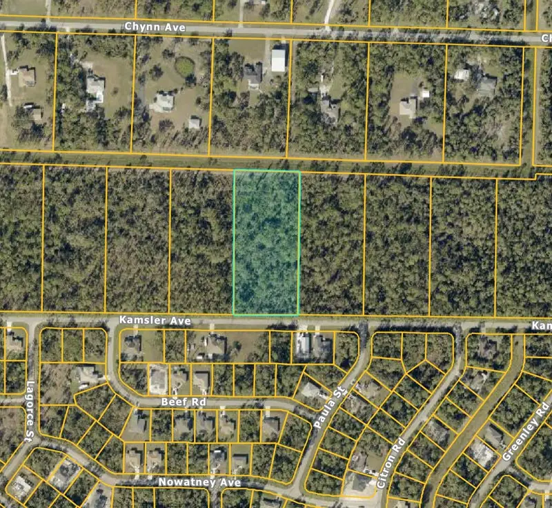 Kamsler Ave, FL