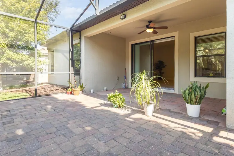 1392 Palmetto Dunes St, FL