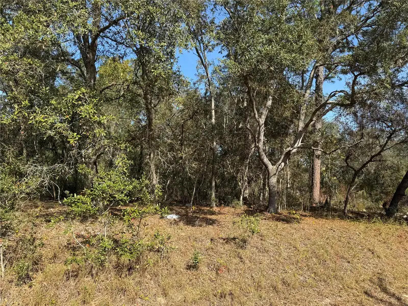 Se 115 Place Rd, FL