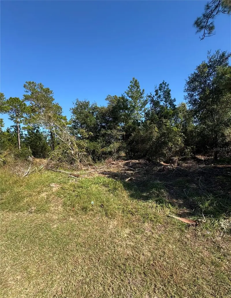 19 Freeport Ln, FL