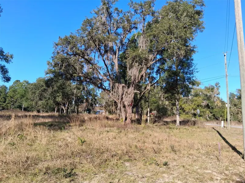 0 Long Cir, FL