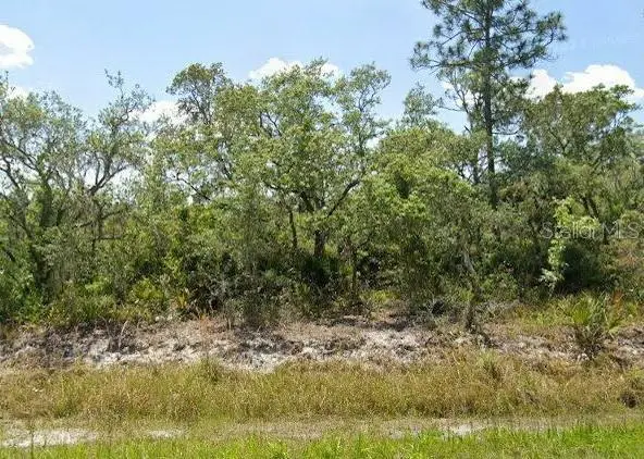 978 Archie Summers Rd, FL