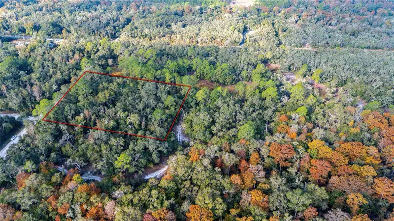 0 Rose Bloom Lot 5 Ave, FL