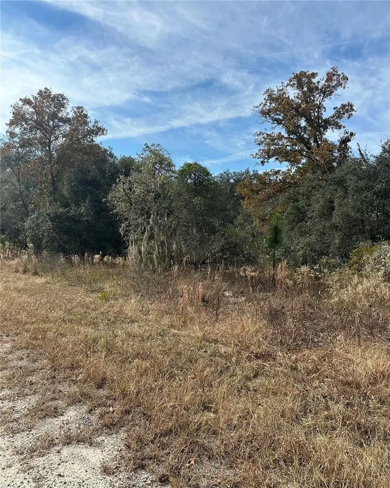 Lot 26 Se 133rd Ave, FL