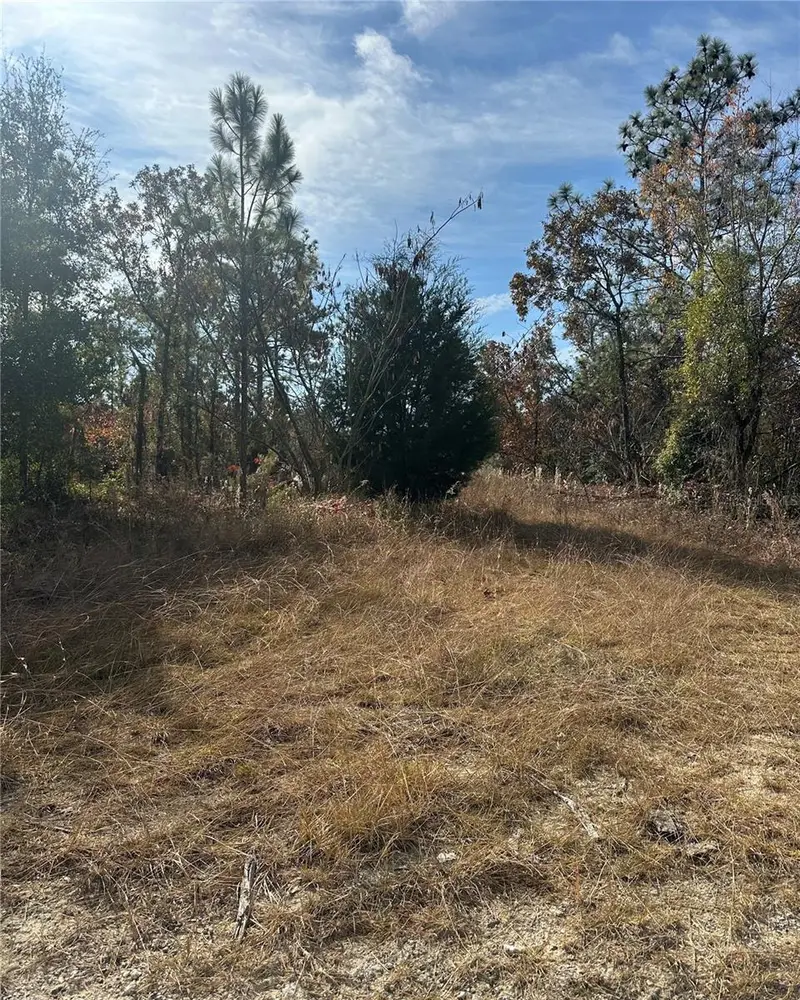 Lot 2 Ne 151st Ter, FL