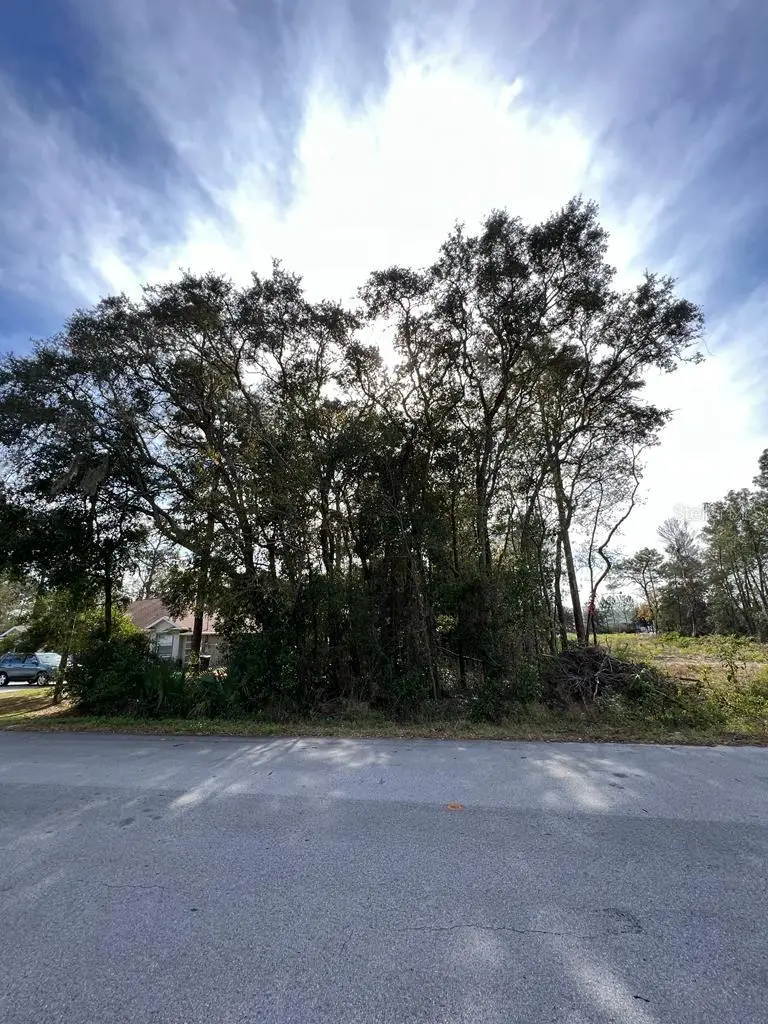 Bahia Terrace, FL