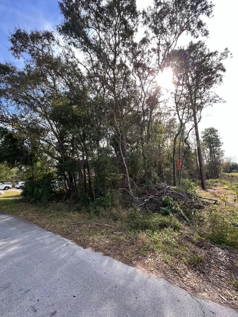 Bahia Terrace, FL