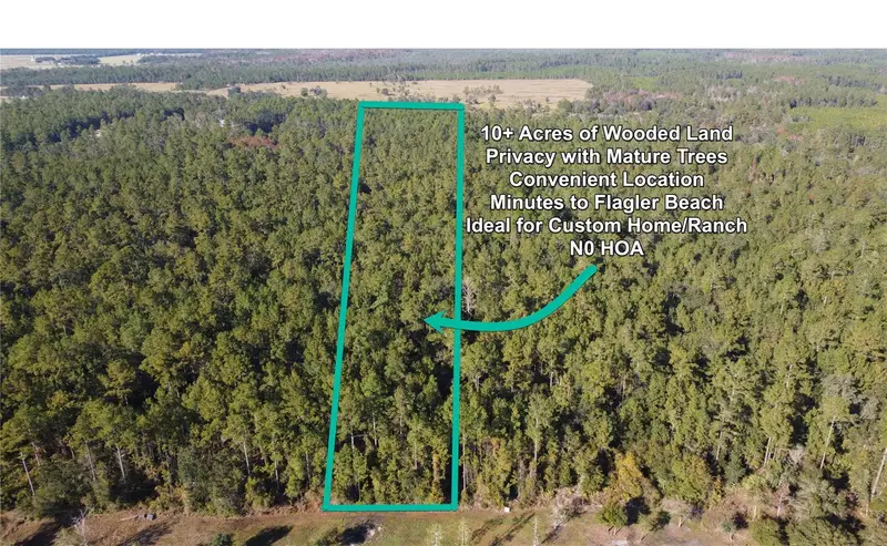 4619 State Hwy 100 W, FL
