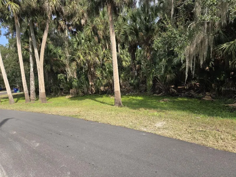 447 Warrior Trl, FL