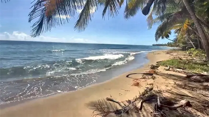 Beach Front Punta Guilarte, PR