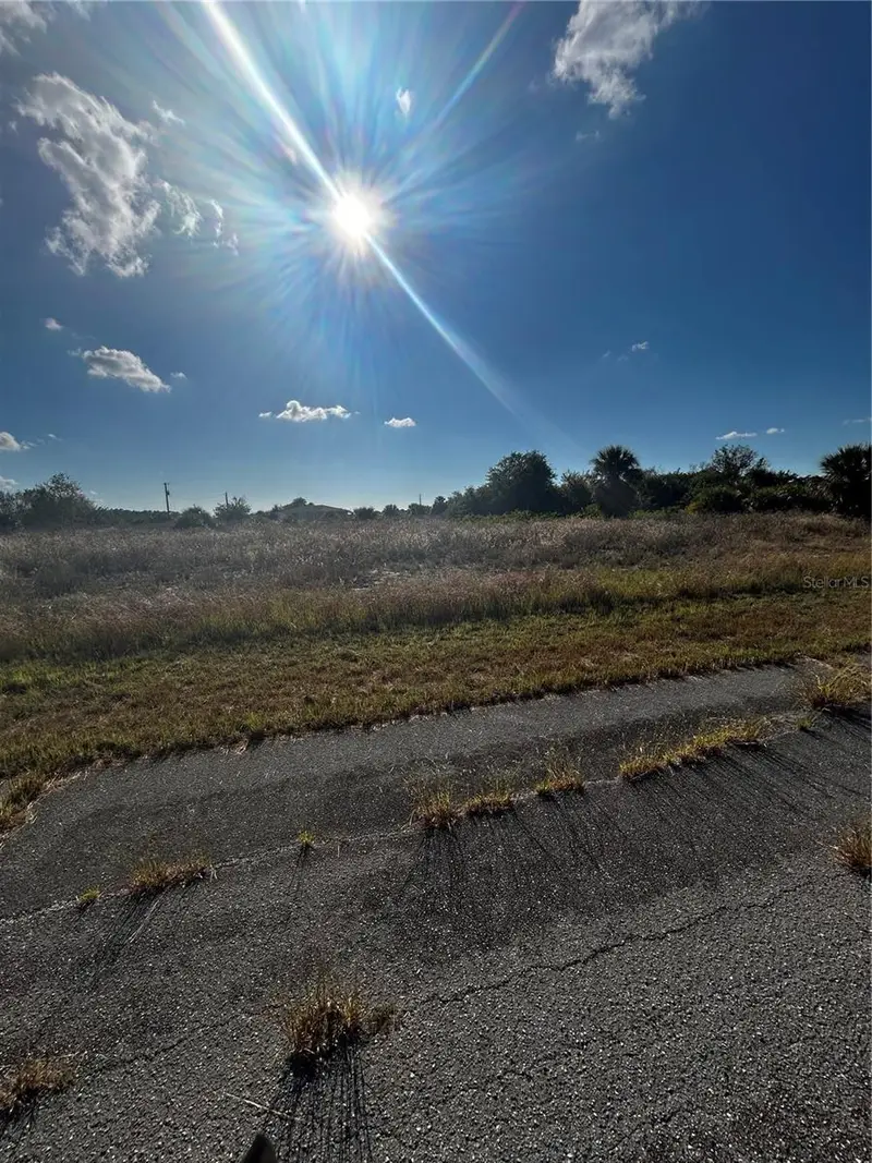216 Leinster Pl, FL