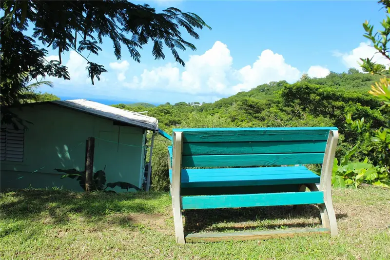 15 Bird'S Nest Studios, PR