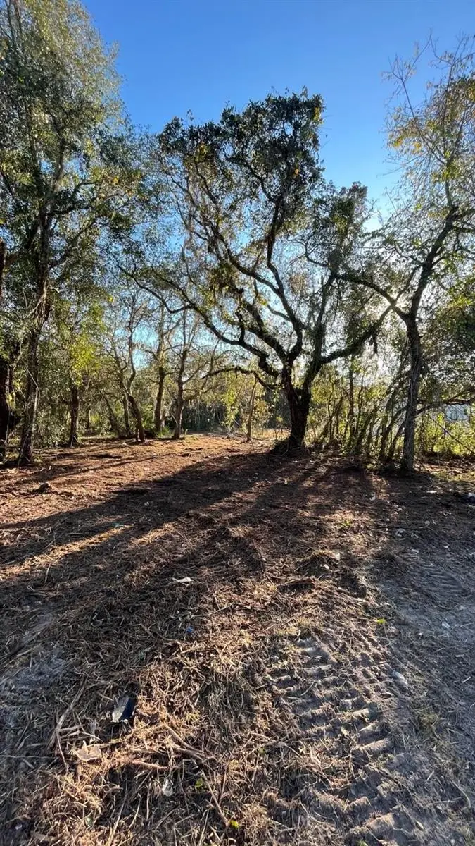 Hagar Drive, FL